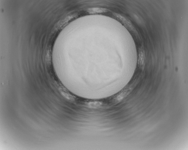 X0000087680426200706011659