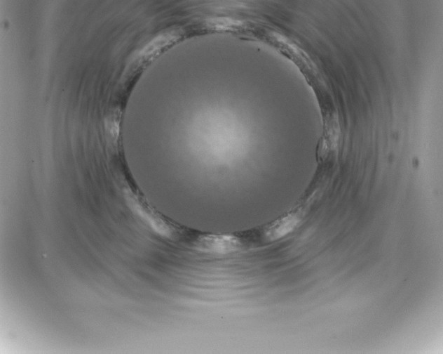 X0000087680427200706011659