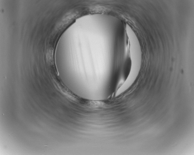 X0000087680429200706011659