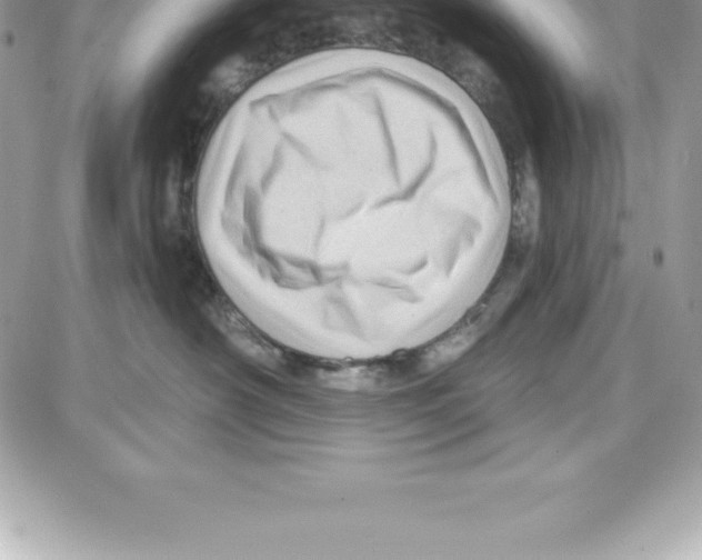 X0000087680430200706011659