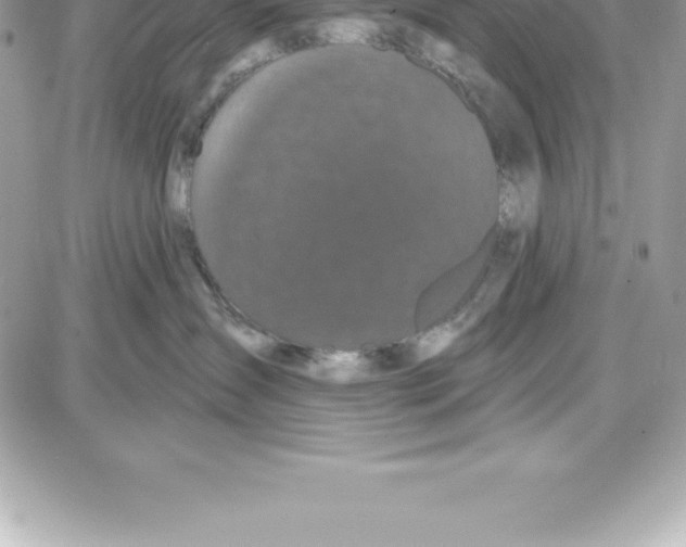 X0000087680431200706011659