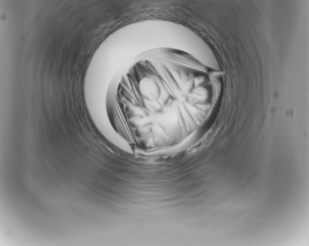 X0000087680432200706011659