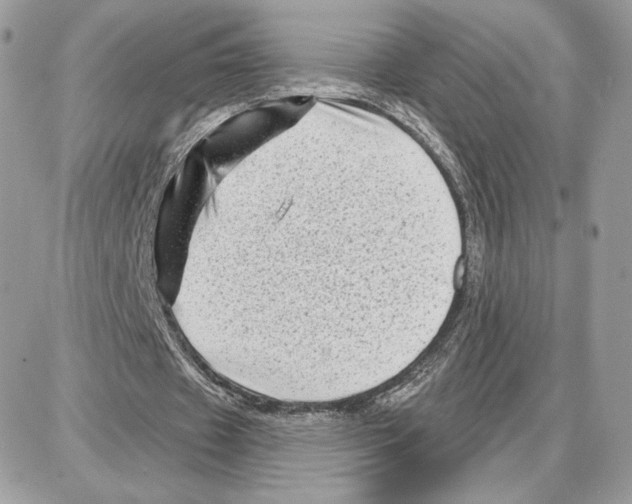 X0000087680433200706011658