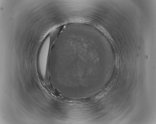 X0000087680434200706011658