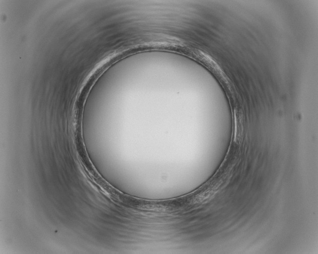 X0000087680435200706011658