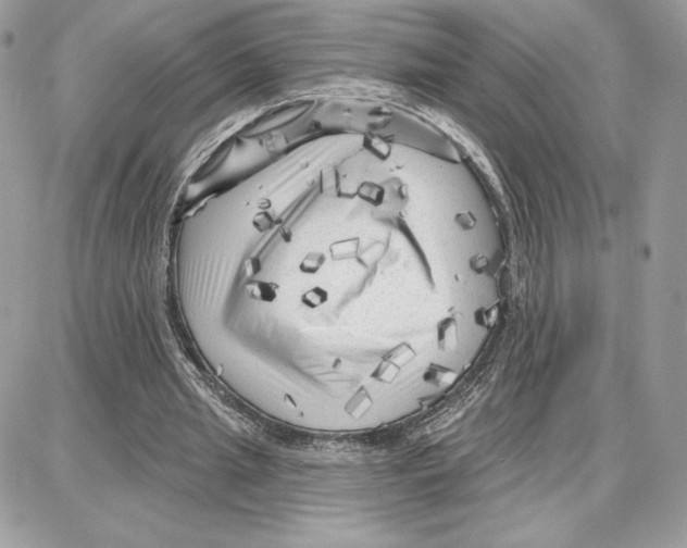 X0000087680437200706011658