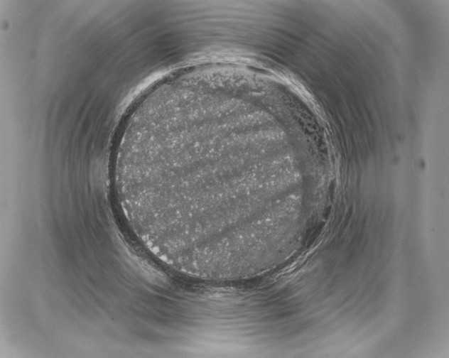 X0000087680438200706011658