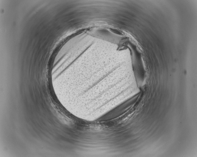 X0000087680439200706011658