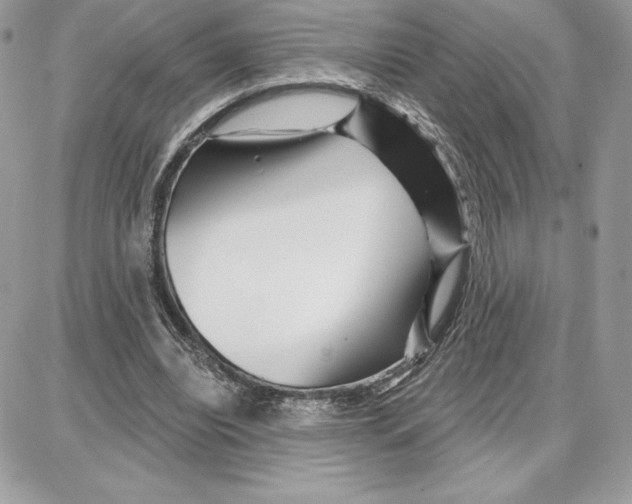 X0000087680440200706011658