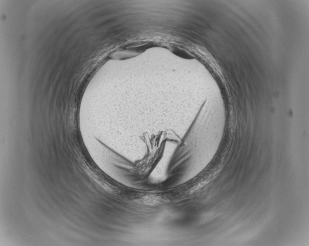 X0000087680441200706011658