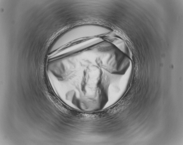 X0000087680442200706011658