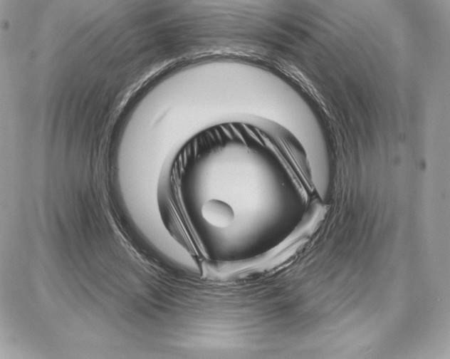 X0000087680444200706011658