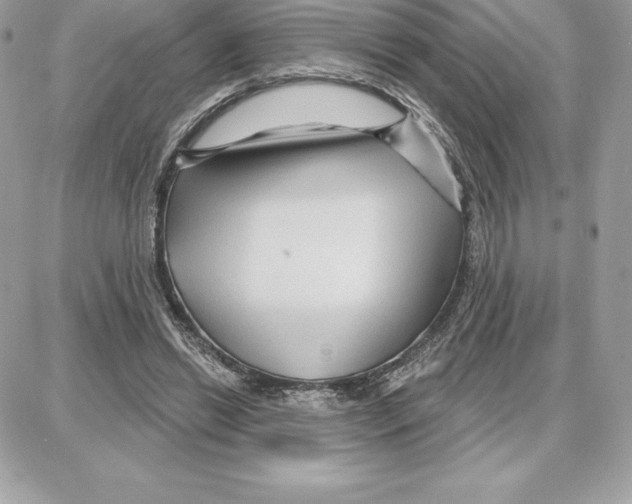 X0000087680446200706011658