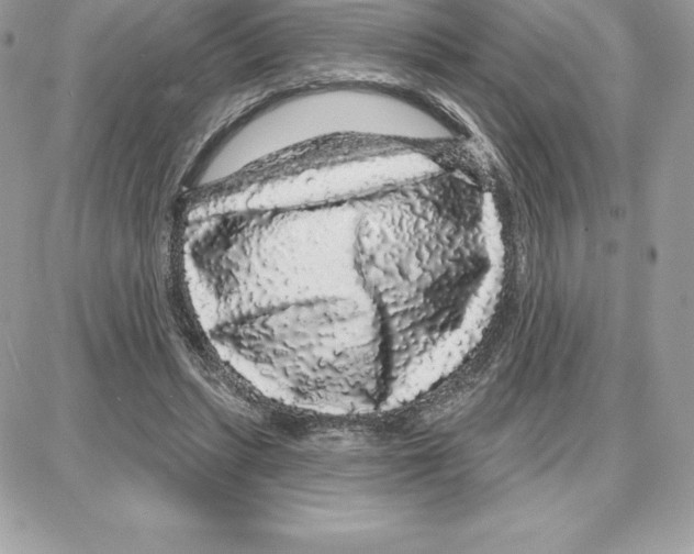 X0000087680447200706011658