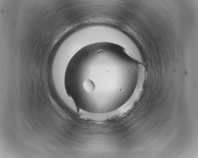 X0000087680448200706011658