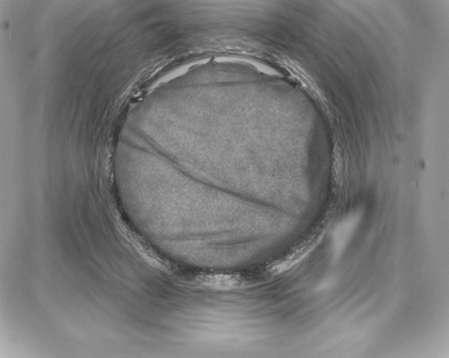 X0000087680449200706011658