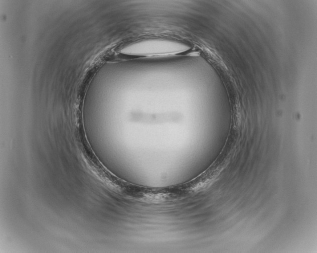 X0000087680450200706011658