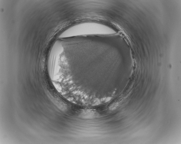 X0000087680451200706011658