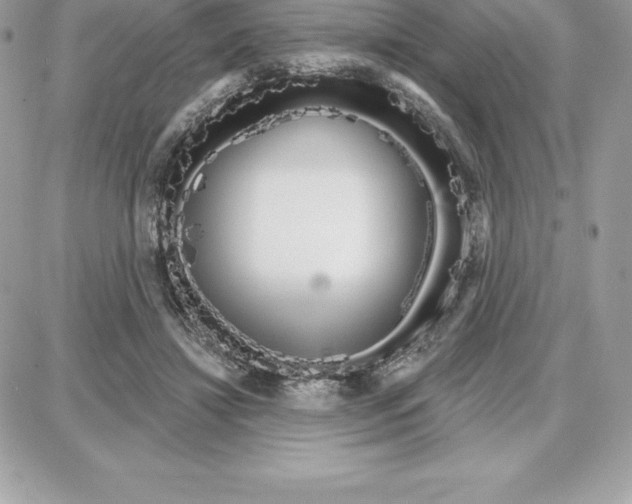 X0000087680452200706011658