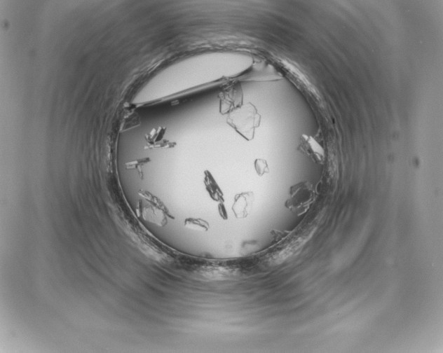 X0000087680453200706011658