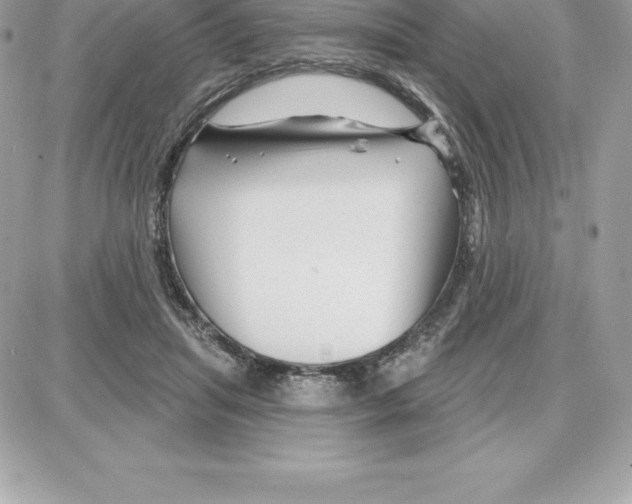 X0000087680455200706011658