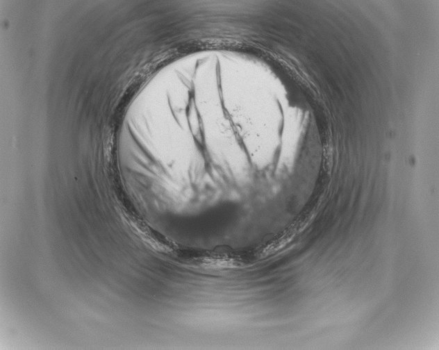 X0000087680458200706011658