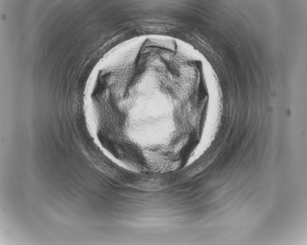 X0000087680459200706011658