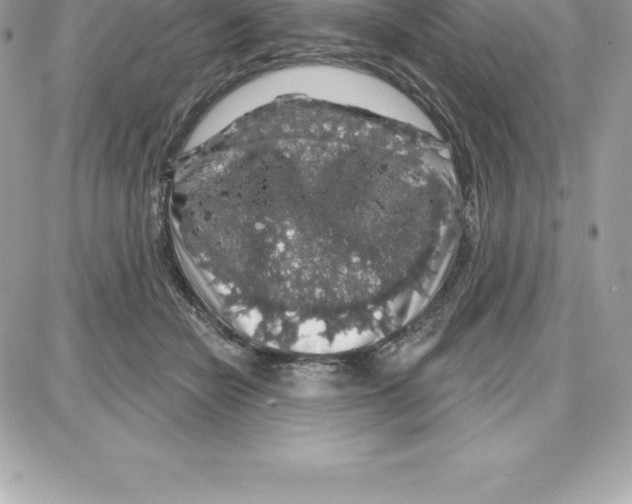 X0000087680462200706011658