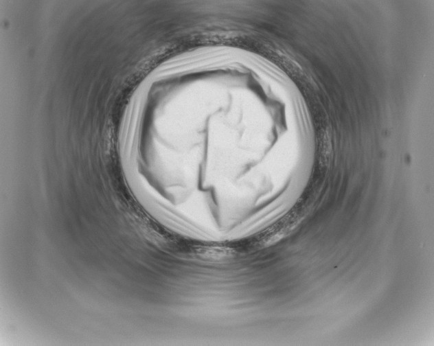 X0000087680463200706011658