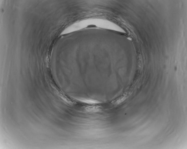 X0000087680465200706011658