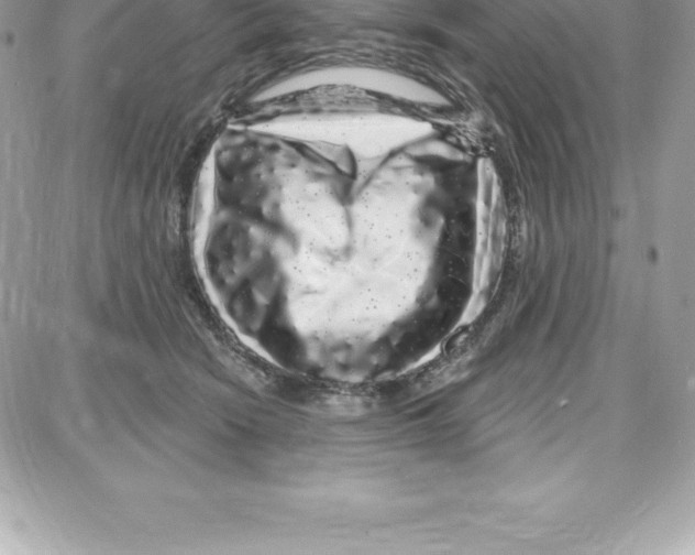 X0000087680466200706011658