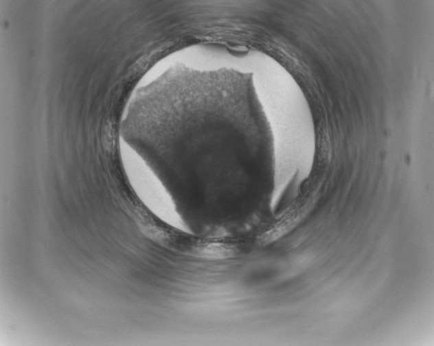 X0000087680467200706011658