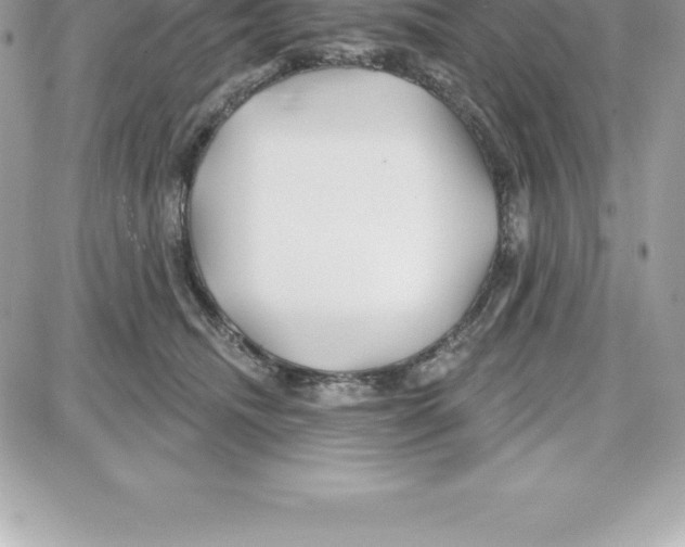 X0000087680468200706011658