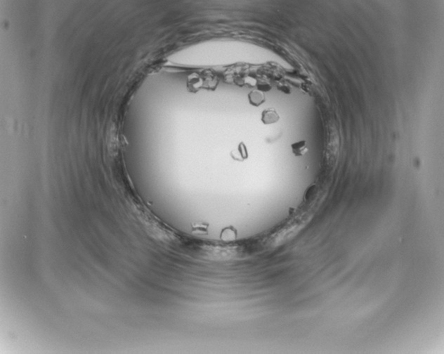 X0000087680469200706011658