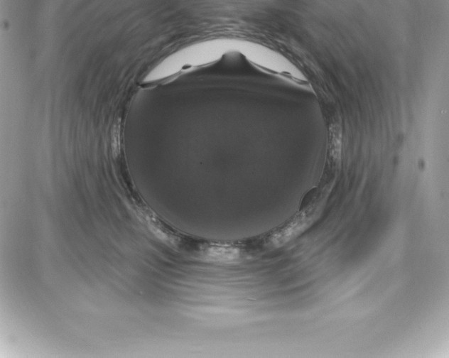 X0000087680471200706011658