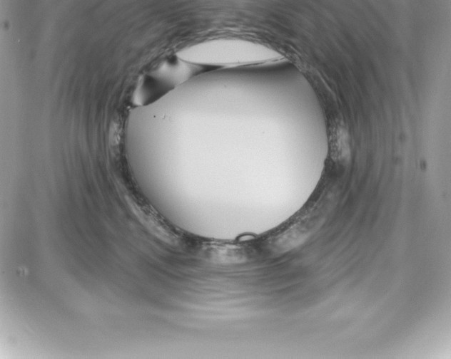 X0000087680472200706011658