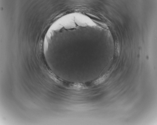 X0000087680475200706011659