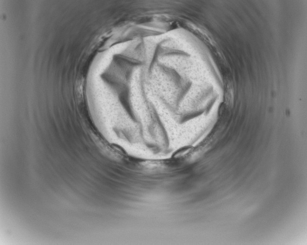 X0000087680477200706011659