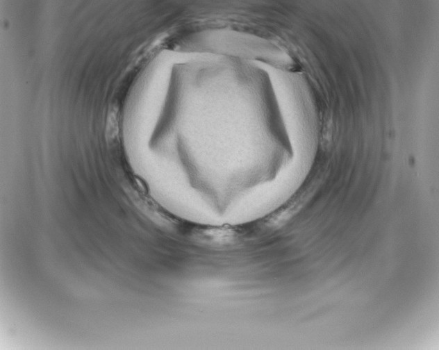 X0000087680478200706011659