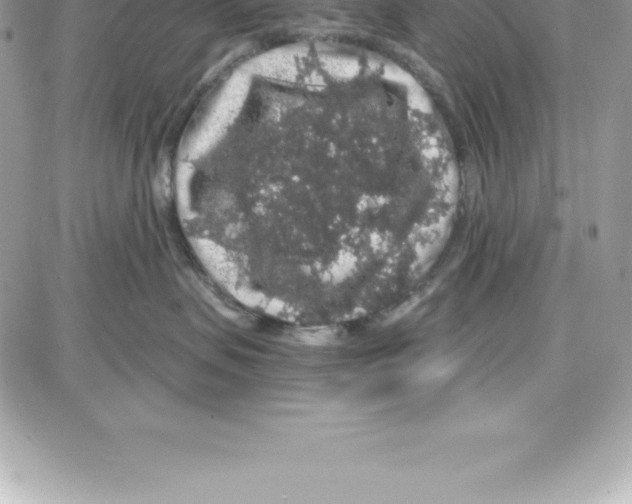 X0000087680479200706011659