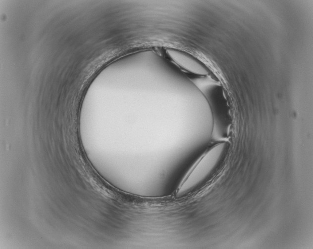 X0000087680481200706011658