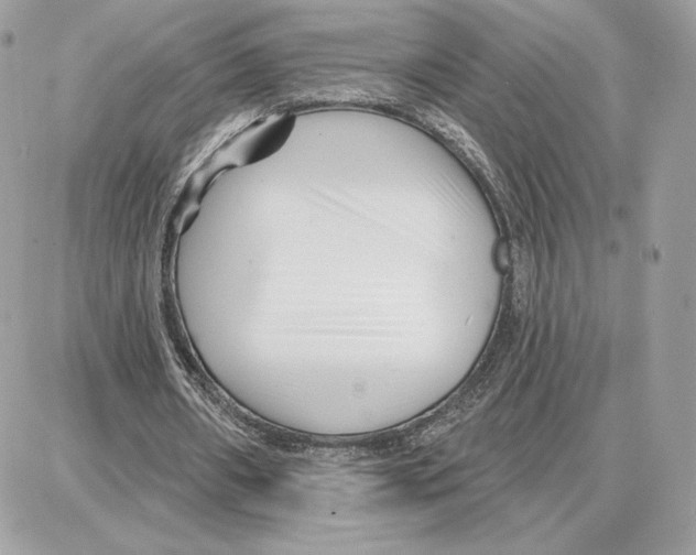 X0000087680482200706011658