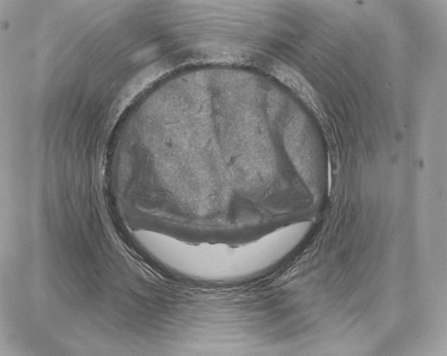 X0000087680483200706011658