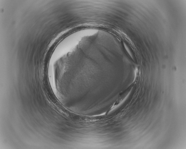 X0000087680484200706011658