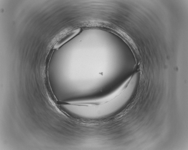 X0000087680485200706011658