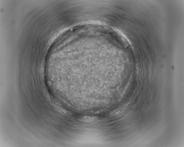 X0000087680487200706011658