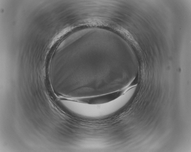 X0000087680488200706011658