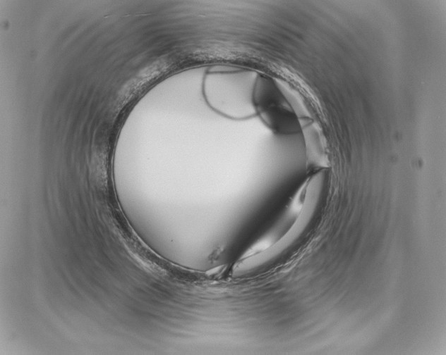 X0000087680489200706011658