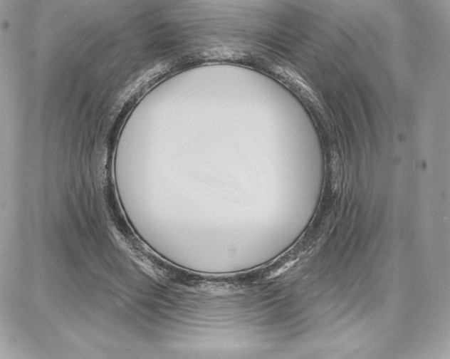 X0000087680490200706011658