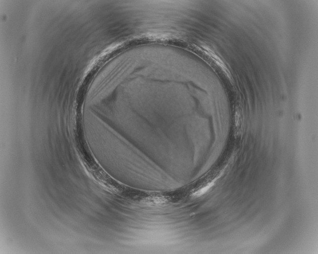 X0000087680492200706011658